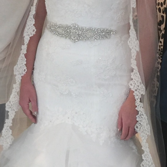 Pronovias Duende Wedding Gown Never Taken OutOfBag - Picture 6 of 7